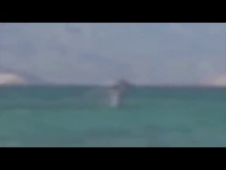 Новое видео с русалкой 2014 год